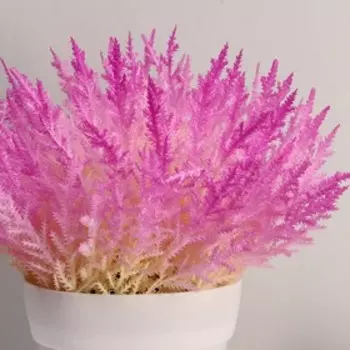 Бонсай "Эрика травянистая" 10х20 см, микс