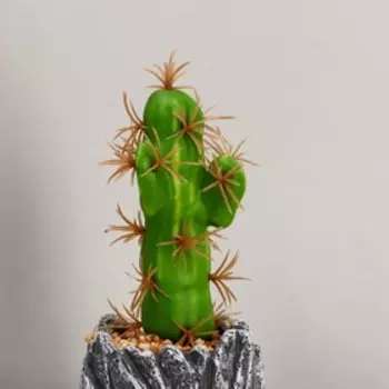Бонсай "Кактус" заборчик, 6х13 см