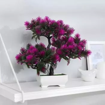 Бонсай в горшке «Мелкие пушистики», 2624 см, МИКС