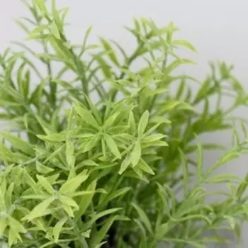 Искусственный цветок в горшке «Розмарин», 7.521 см