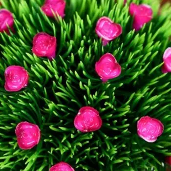 Искусственный цветок в горшке «Розочки в траве», 811 см, МИКС