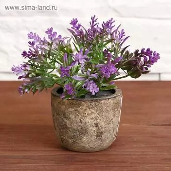 Искусственный цветок в горшке «Седум», 610 см, МИКС