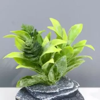 Бонсай "Веточки на камне" 4х7х7,5 см