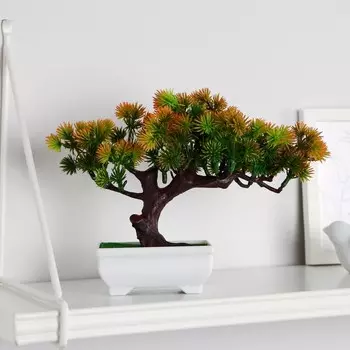 Бонсай в горшке "Хвойное дерево" 10,5х18 см МИКС