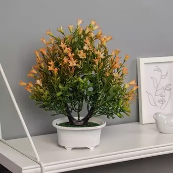 Бонсай в горшке «Лилиана премиум», 1225 см, МИКС