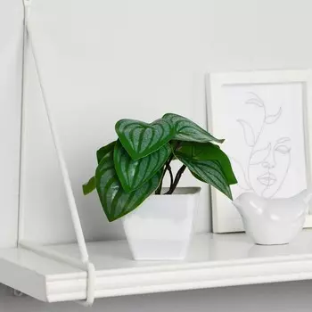 Искусственный цветок в горшке «Пеперомия», 713 см