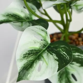 Искусственный цветок в горшке «Сциндапсус», 927 см