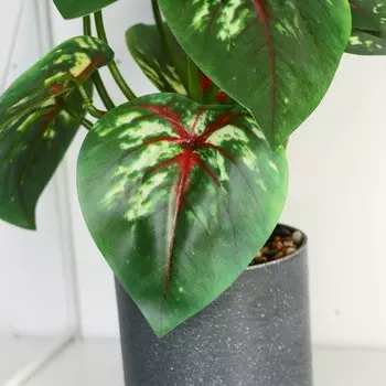 Искусственный цветок в горшке «Сингониум», 925 см