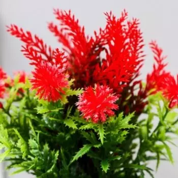 Бонсай в горшке "Вероника колосистая" 9х22 см, микс