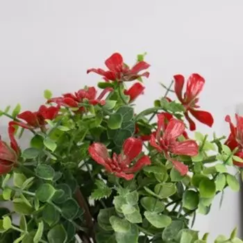 Бонсай "Жимолость" 7,5х21 см, микс