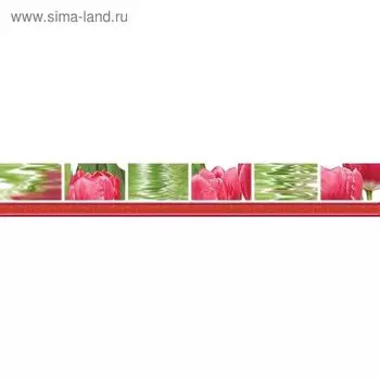 Бордюр 50х7см Фреш Тюльпаны 77-05-47-160