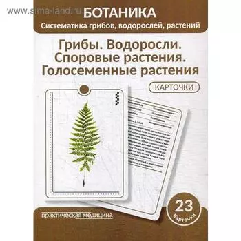 Ботаника. Систематика грибов, водорослей, растений. Грибы. Водоросли. Споровые растения.