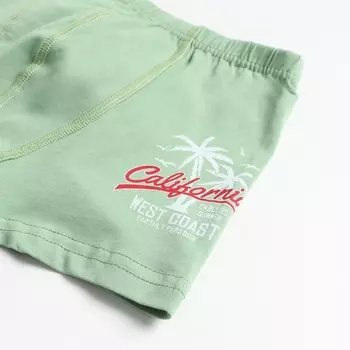 Боксеры для мальчика, цвет зеленый, рост 128-140 см