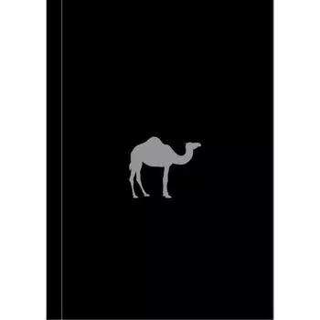 Boy's Toys (Camel Note)