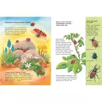 Божья коровка и другие обитатели луга. Познавательные истории. Райхенштеттер Ф.