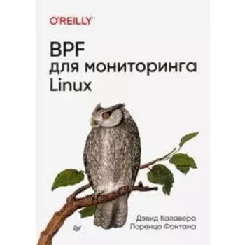 BPF для мониторигна Linux. Калавера, Фонтан