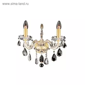 Бра CHAMPA 2х60Вт E14 золото 28x39x40см