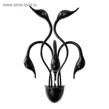 Бра Cigno 5х20Вт G4 чёрный 23x45x70см