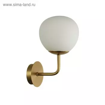 Бра Maytoni MOD221-WL-01-G, 1хE14, 40Вт, 19х15х27 см, цвет латунь