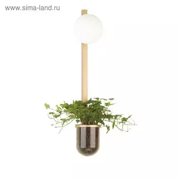 Бра Flower, 40Вт E14, цвет золото