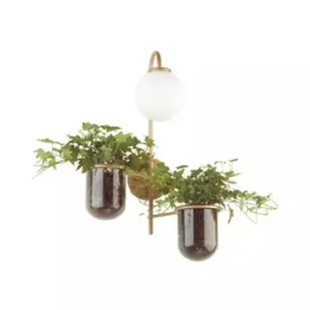 Бра Flower, 40Вт E14, цвет золото