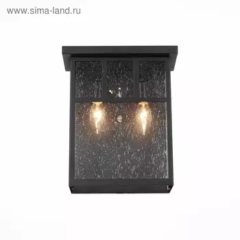 Светильник уличный настенный St Luce. SL079.401.02. Glazgo. 2х60 Вт, E14, 25,4х30,5 см, цвет тёмный кофе
