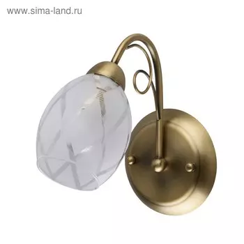 Бра "Грация" 1x60W Е14 античная бронза 25x12x20см