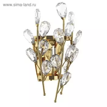 Бра ISABELLE 1х40Вт G9 золото 9x15x28см