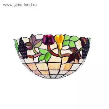 Бра Kia E14, 1x40W разноцветный 31x16x17см