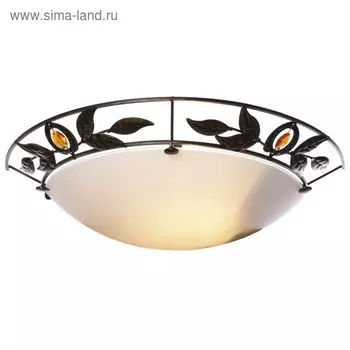 Бра "Николетта" 1x60Вт E14 бронза, дуб 28x17x27см