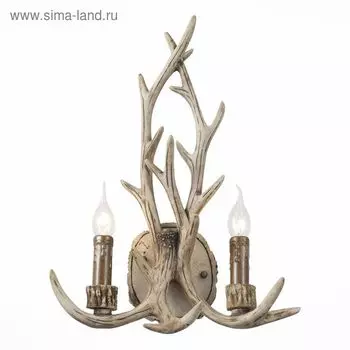 Бра St Luce. SL153.701.02. Renna. 2х40 Вт, E14, 34х50 см, цвет светло-коричневый