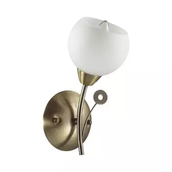 Бра Tula 1x40W E14 27,5x12 см