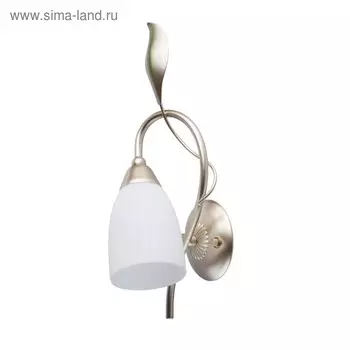 Бра "Верона", 60Вт E14, цвет золото