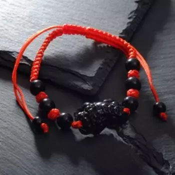 Браслет-оберег "Красная нить" Пи Яо, цвет чёрный
