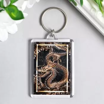 Брелок акрил "Дракон" 3,5х5 см