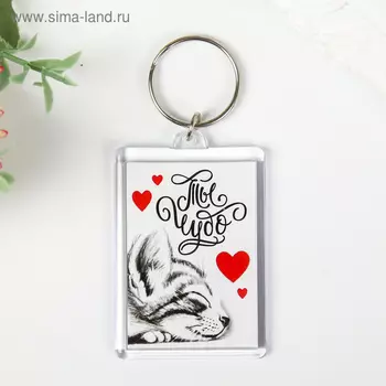 Брелок акрил "Котенька. Ты чудо" 5х3,5 см