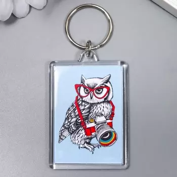 Брелок акрил "Сова" 3,5х5 см