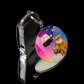 Брелок для автомобильного ключа, Кот