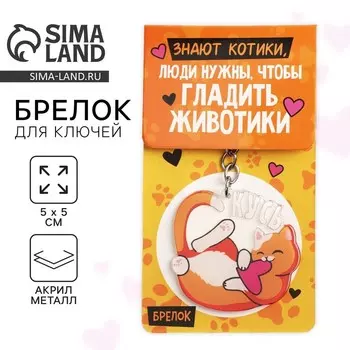 Брелок для ключей акриловый «Знают котики», 10 х 5 см