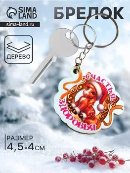 Брелок для ключей на кольце «Лошадь. Счастья, Здоровья», 4.54 см