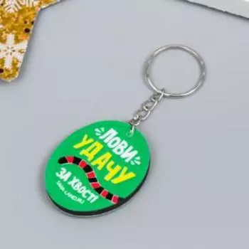 Брелок EVA "Лови удачу за хвост" 4,1х3,3 см