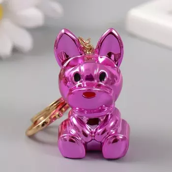 Брелок для ключей на карабине «Пёс», розовый, 5.73.23.4 см