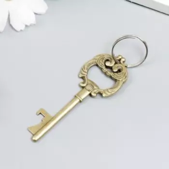 Брелок металл "Ключ с пышными листьями" МИКС 8х3 см