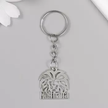 Брелок для ключей на кольце «Мой папа - Лев», металл, 2.52.5 см