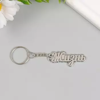 Брелок для ключей на кольце «Жизнь. Росток», металл, 25 см