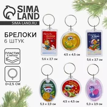Брелок новогодний, для ключей «Счастье в твоих руках», МИКС