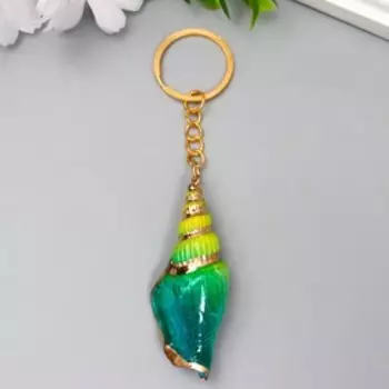 Брелок пластик "Ракушка цветная с золотом" МИКС 7х3 см