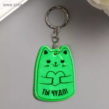 Брелок пластик светоотражающий "Котик с сердечком - Ты чудо" МИКС 5х4 см