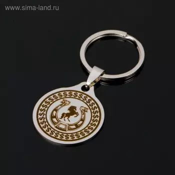 Брелок «Подкова благополучия», мед. сталь