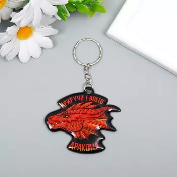 Брелок для ключей на кольце «Приручи своего дракона», мягкий ПВХ, 5.66 см